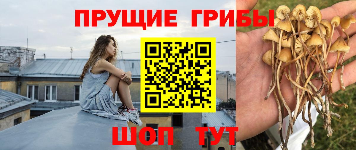 Мариинск  Галлюциногенные грибы мицелий  Вход с VPN 